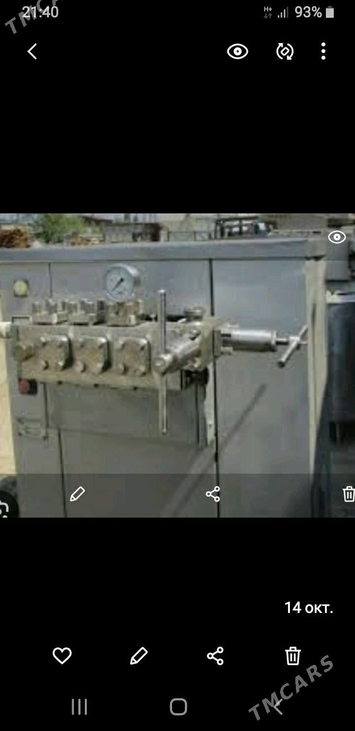 Гомогенизатор - Mary - img 2