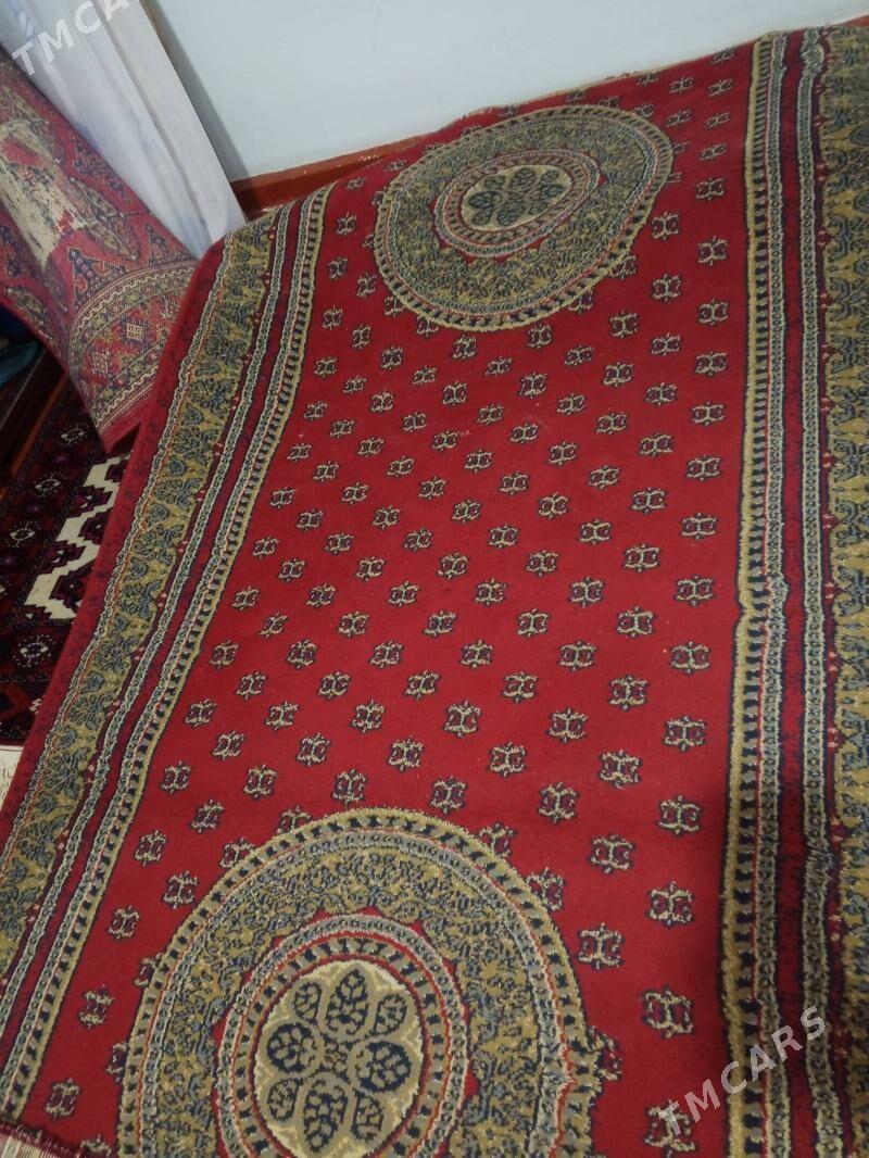 haly - Балканабат - img 2