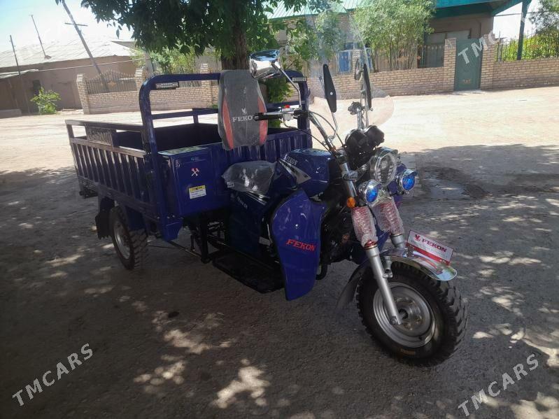 Fekon FK200-14G 2025 - 37 000 TMT - Görogly (Tagta) - img 1