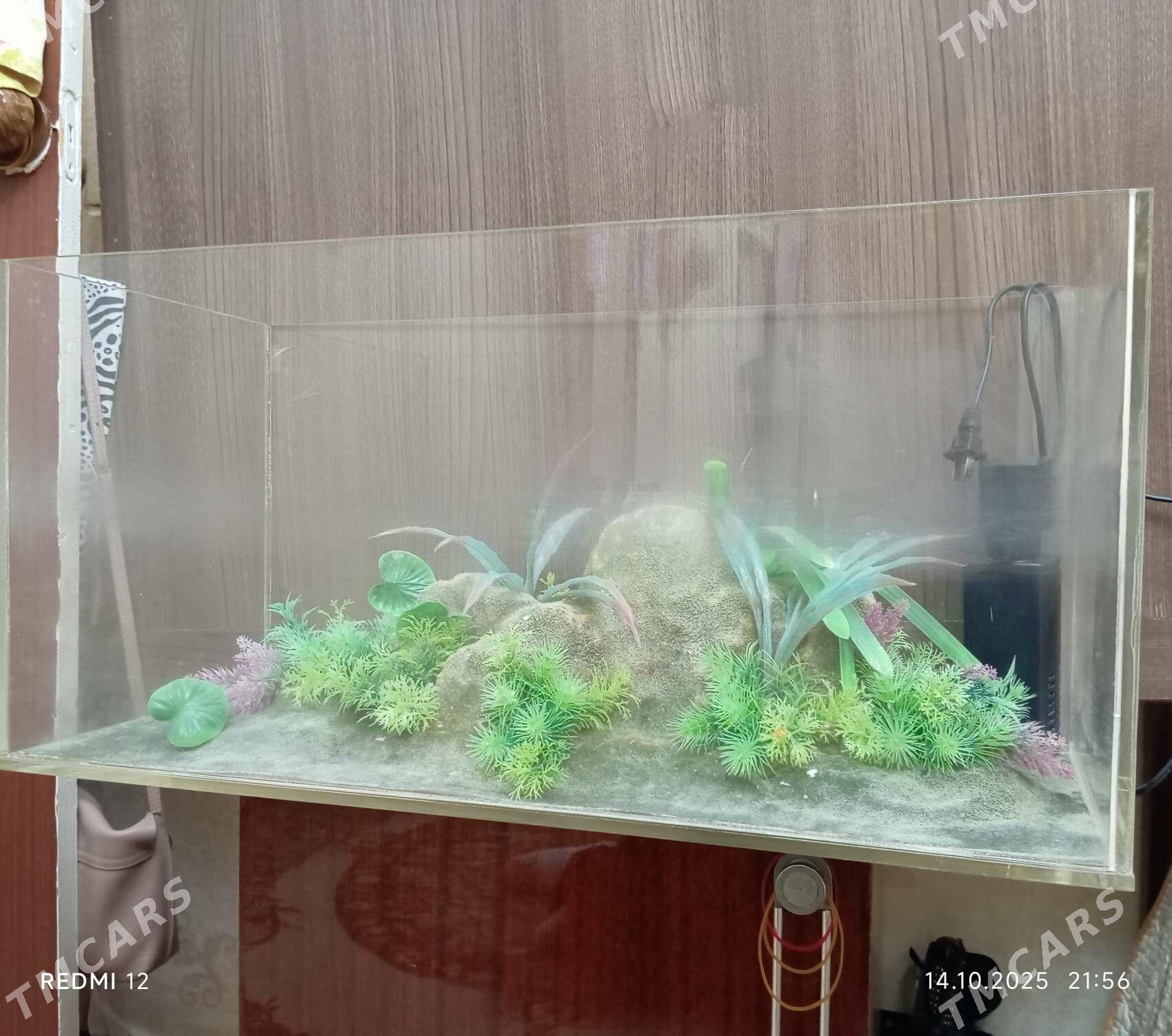 аквариум - 30 mkr - img 2