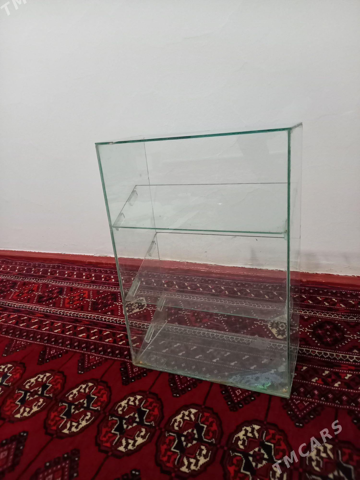 polka - Aşgabat - img 3