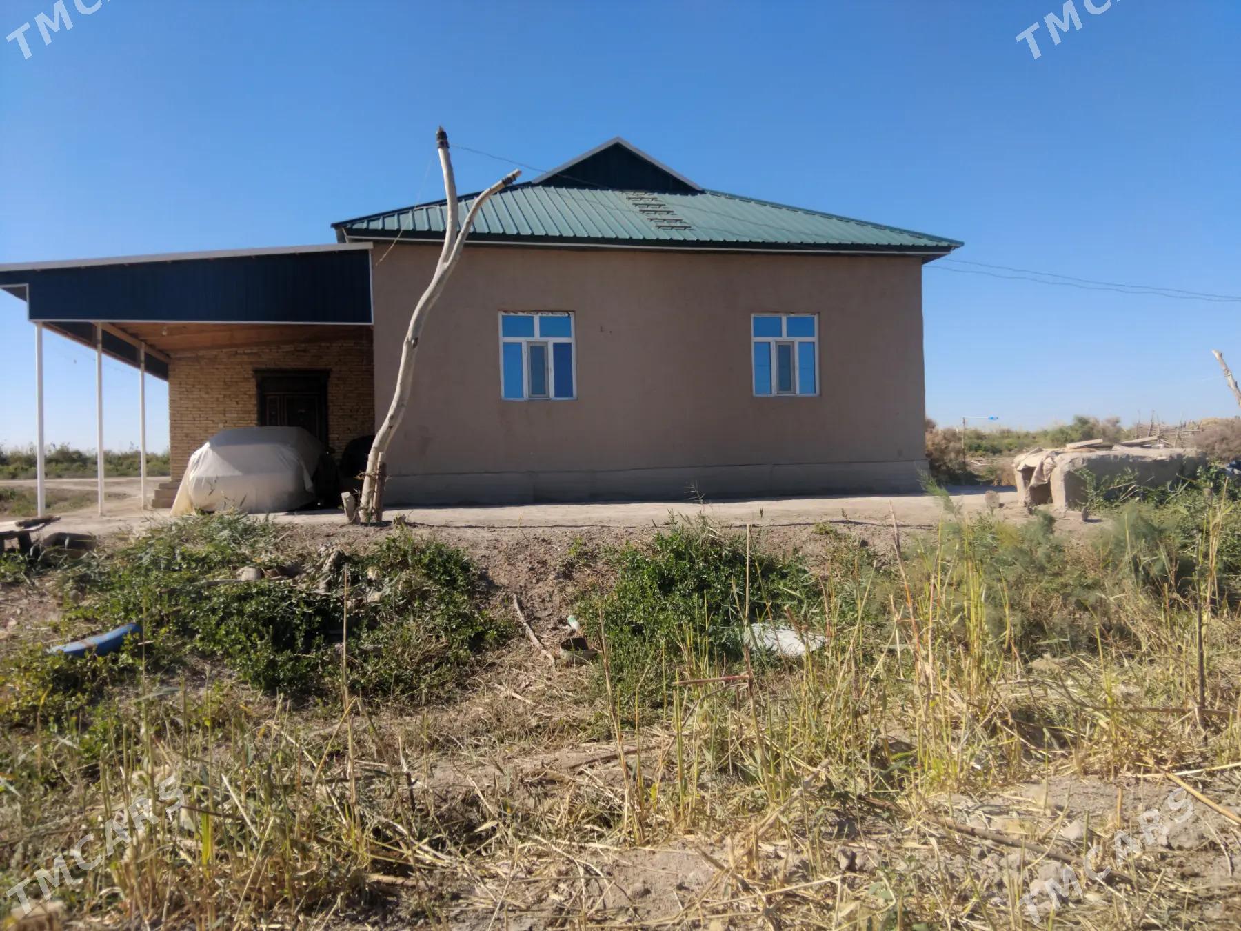 Satlyk jaỳ - етр. Туркменбаши - img 3