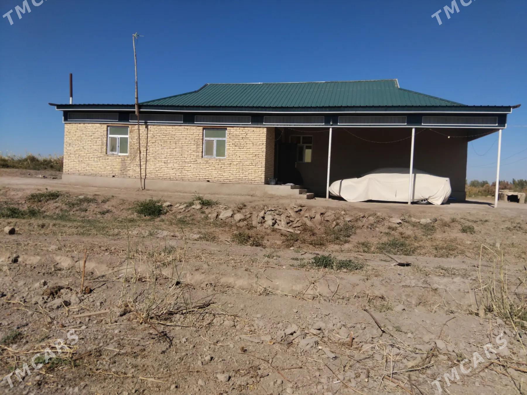 Satlyk jaỳ - етр. Туркменбаши - img 4