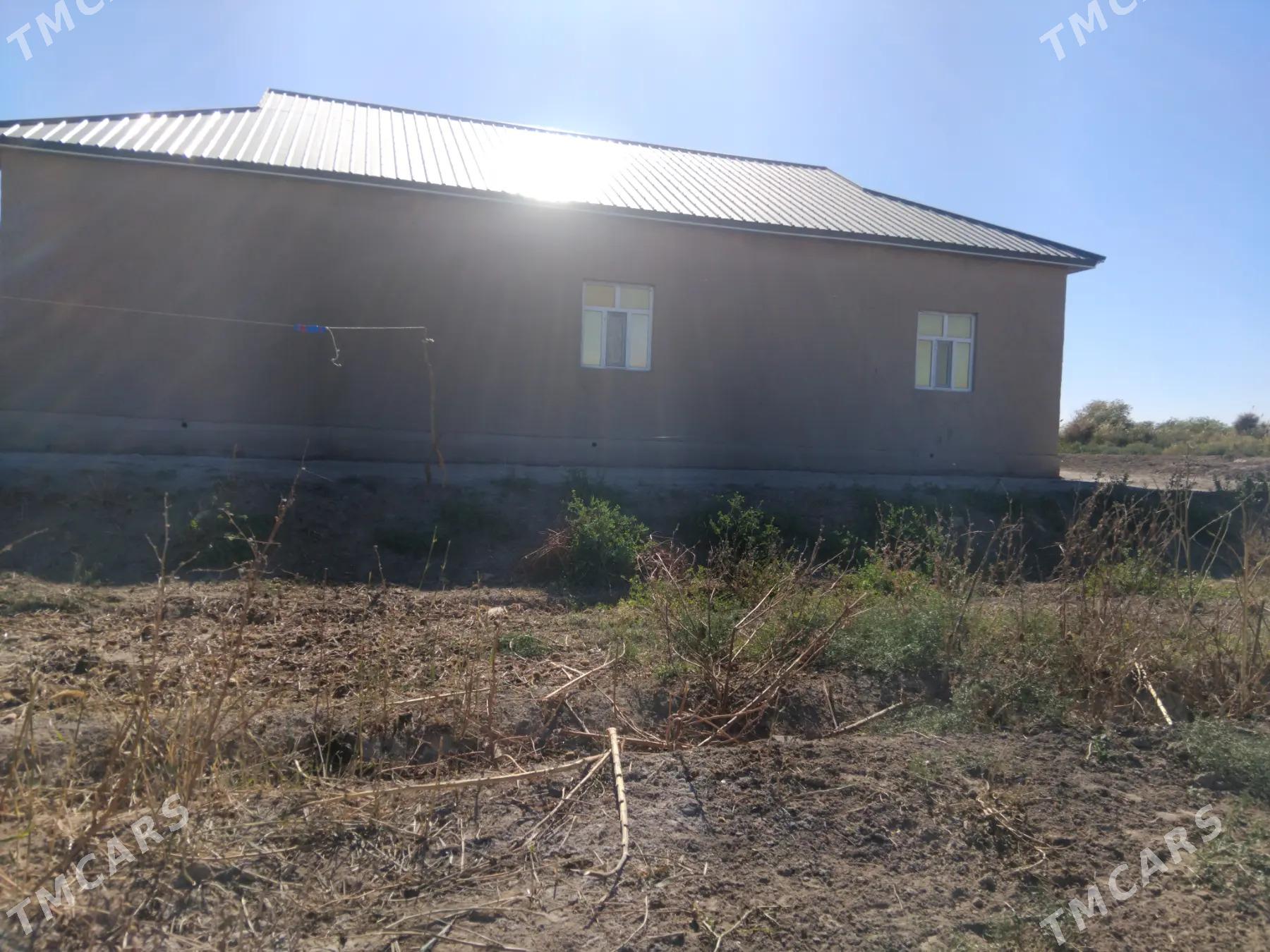 Satlyk jaỳ - етр. Туркменбаши - img 5