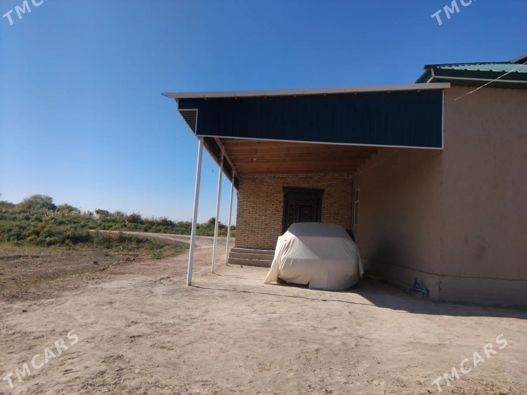 Satlyk jaỳ - етр. Туркменбаши - img 1