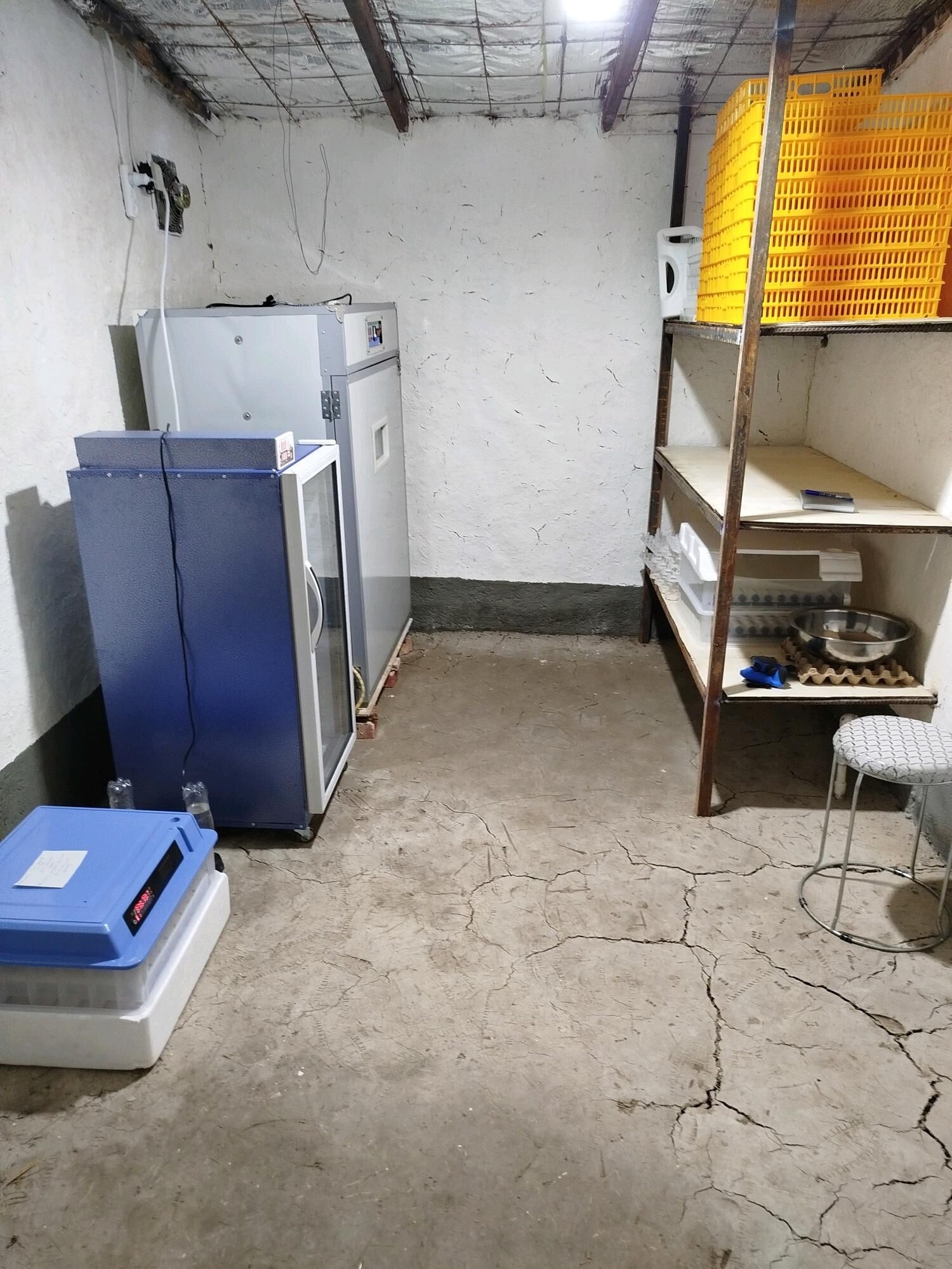 Inkobator - Gökdepe - img 2