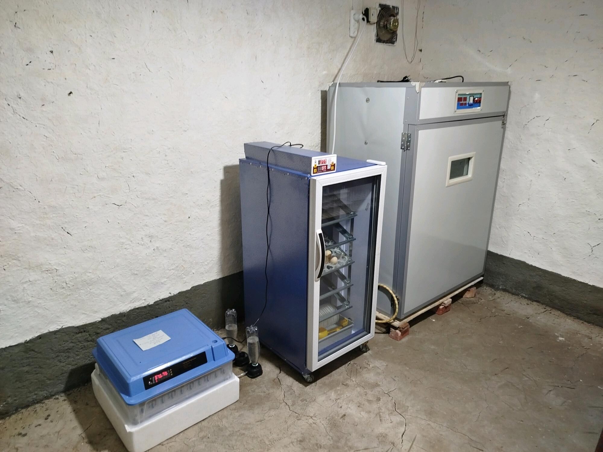 Inkobator - Gökdepe - img 4