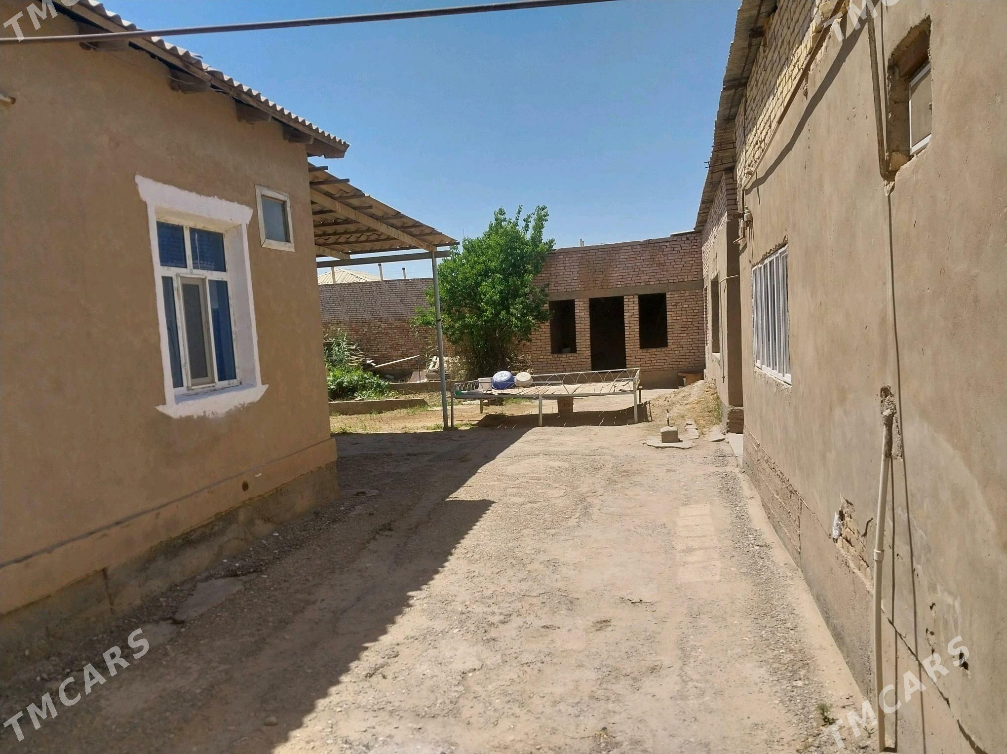 Satlyk jay - Теджен - img 3