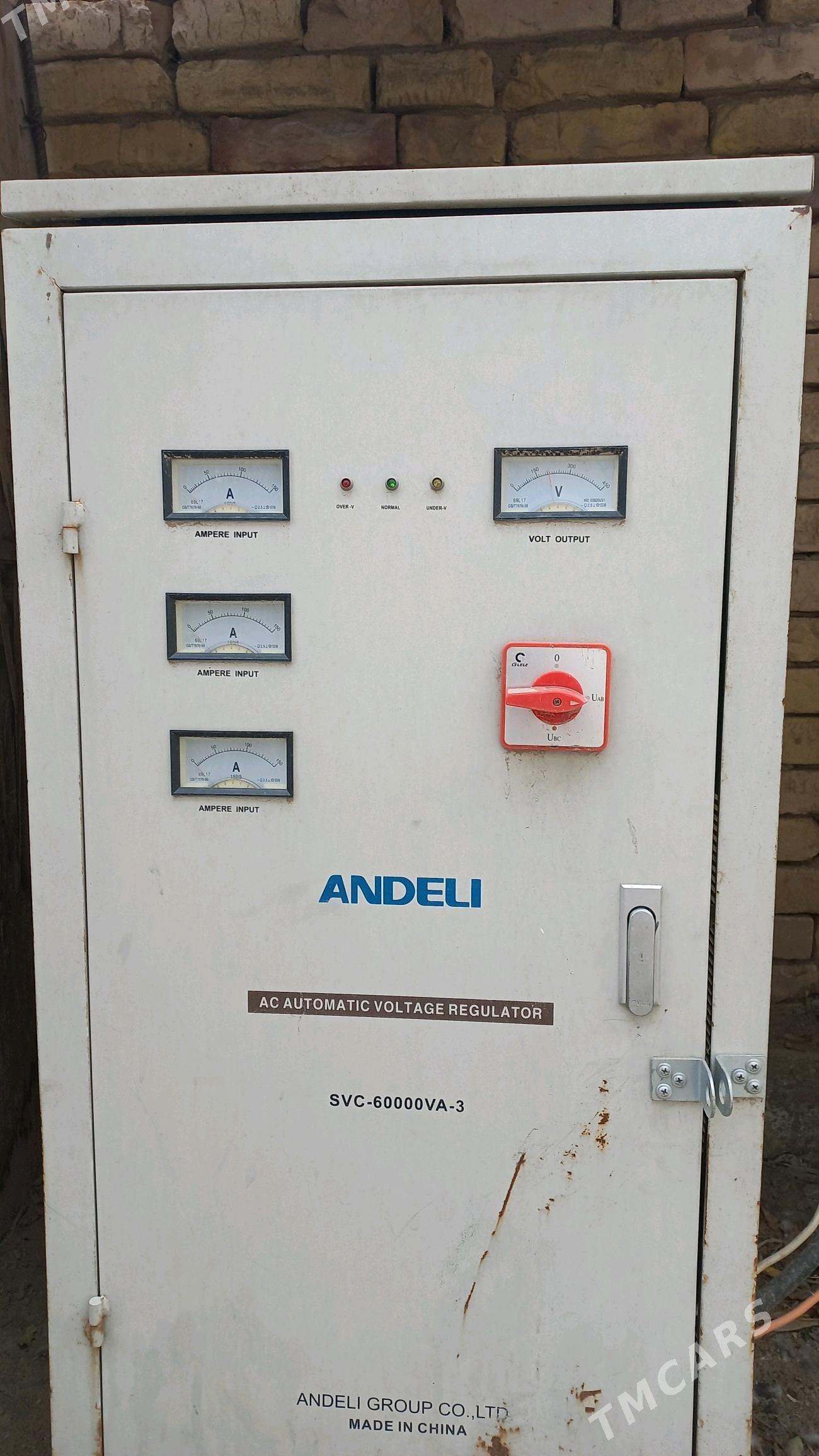 Tok kopeltyan Andeli - Болдумсаз - img 4