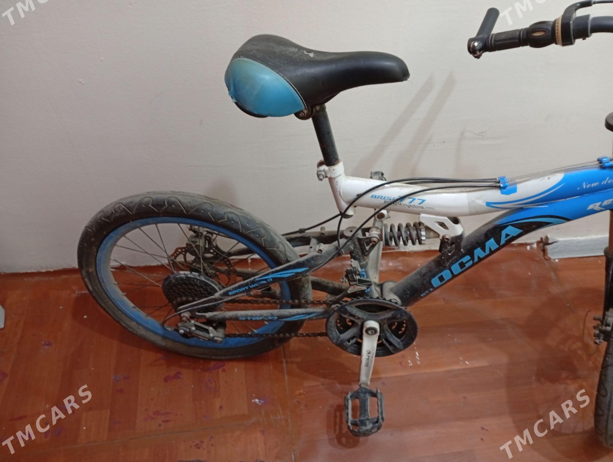 welsopet (tigir) - Мир 3 - img 3