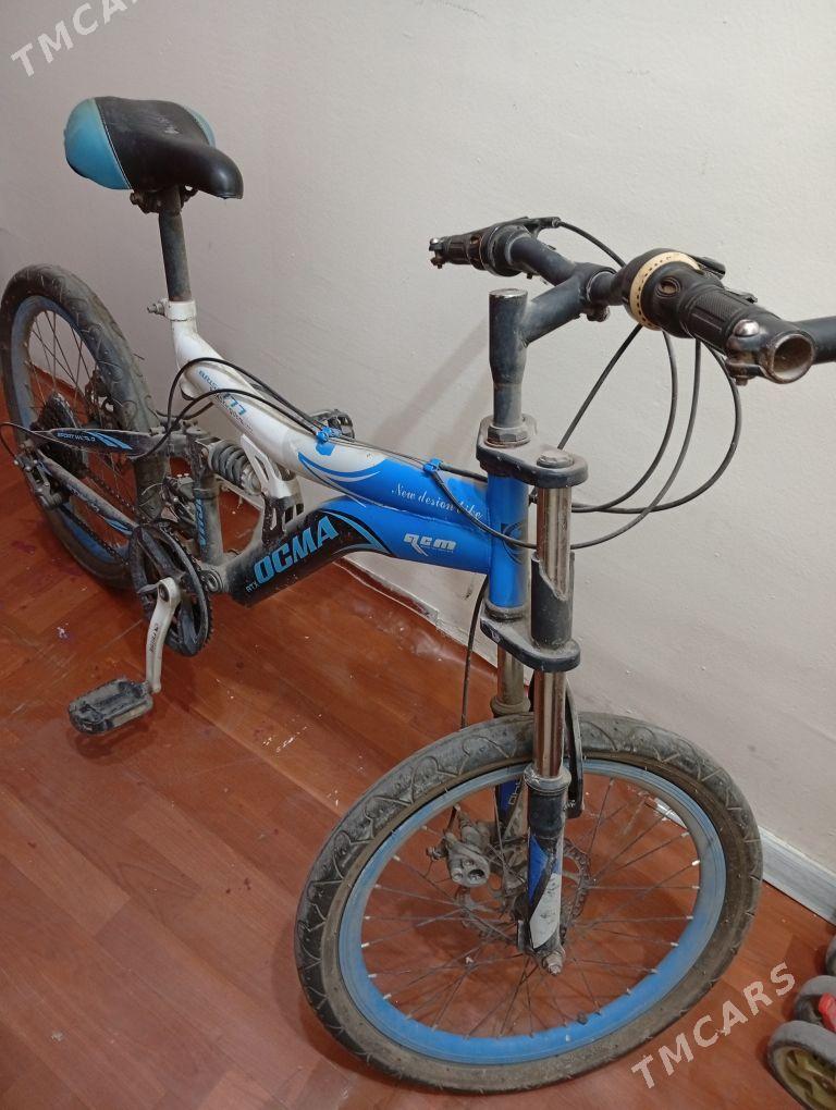 welsopet (tigir) - Мир 3 - img 1