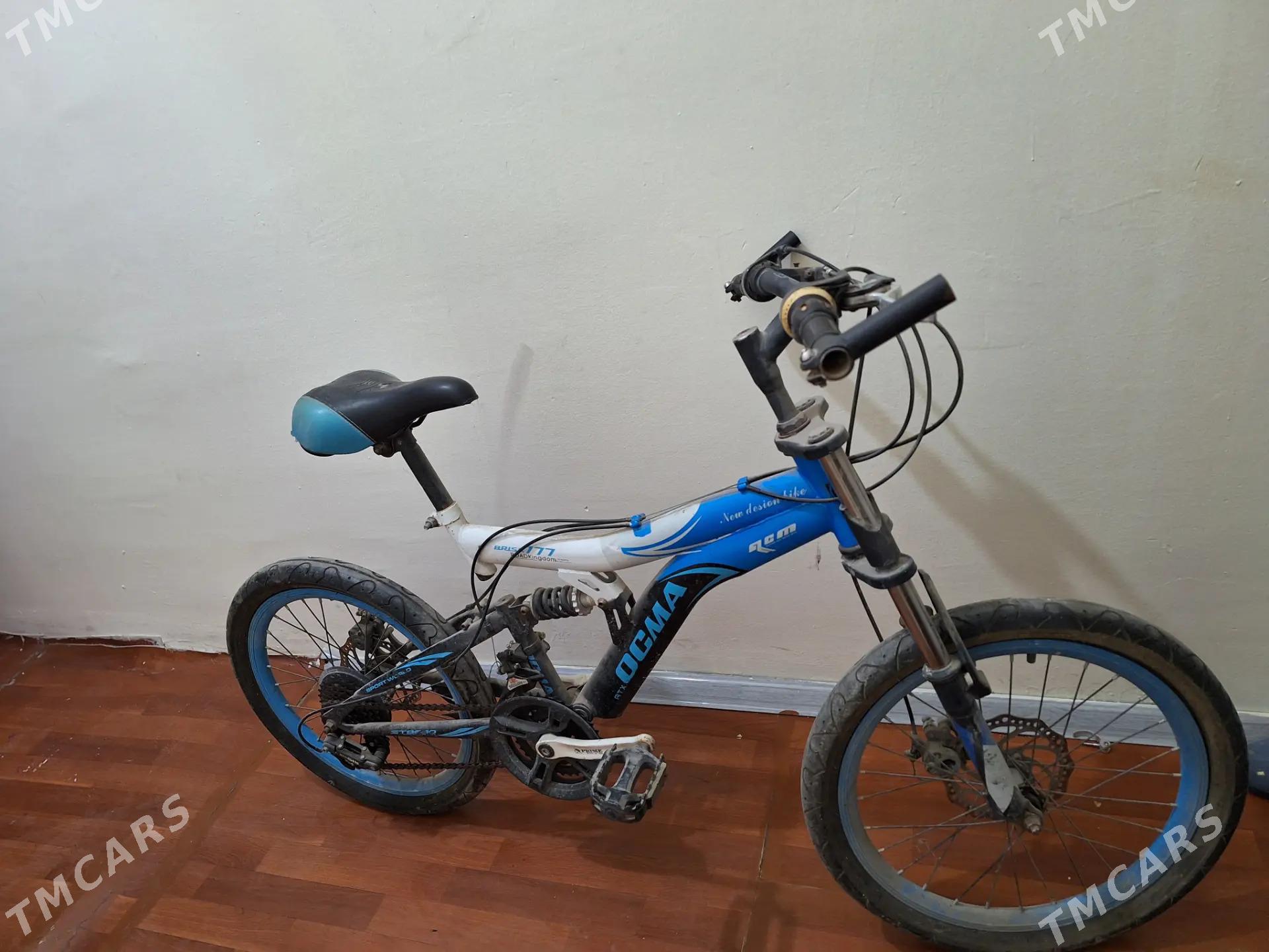 welsopet (tigir) - Мир 3 - img 2