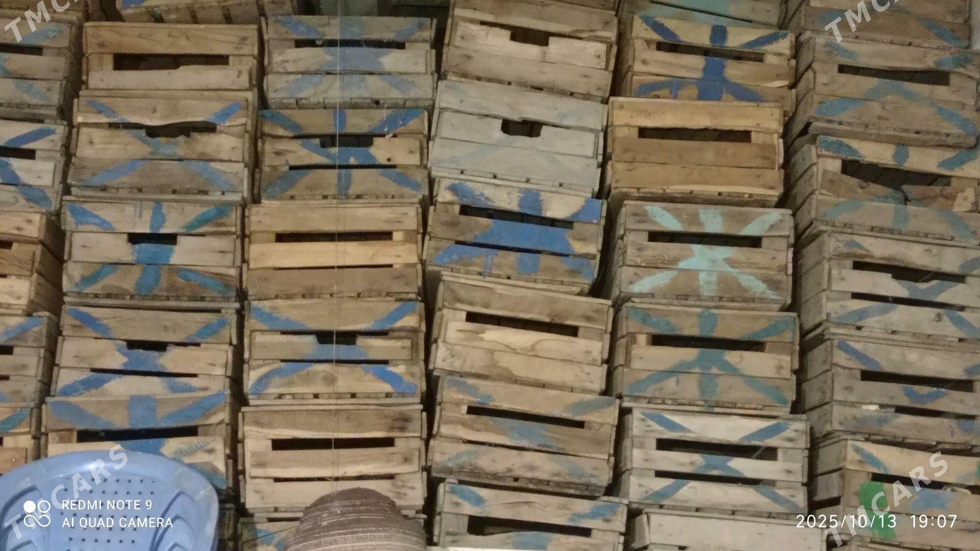 Agaç ýaşik - Дашогуз - img 2