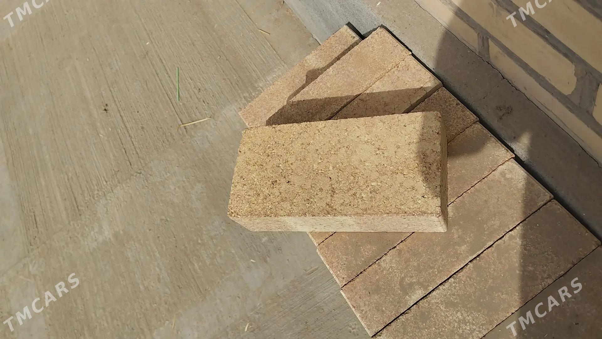 Agnaporny агнапорны - Halaç - img 3