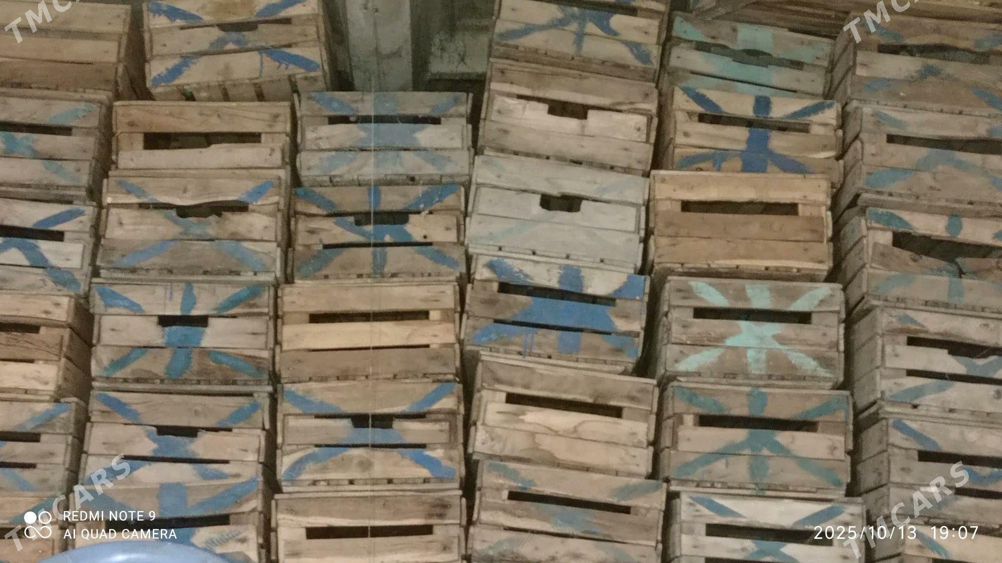 Agaç ýaşik - Дашогуз - img 1