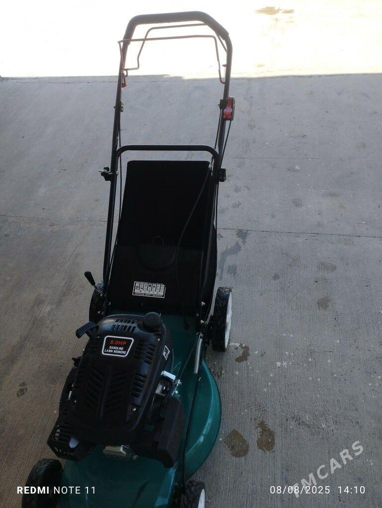 OT ORYAN KASİLKA - Aşgabat - img 2