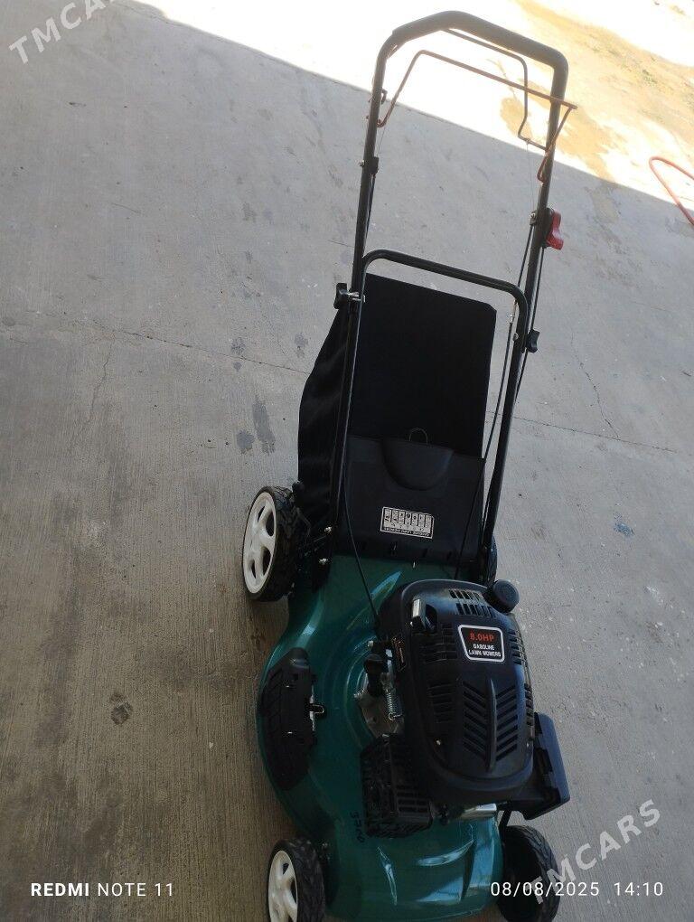 OT ORYAN KASİLKA - Aşgabat - img 1