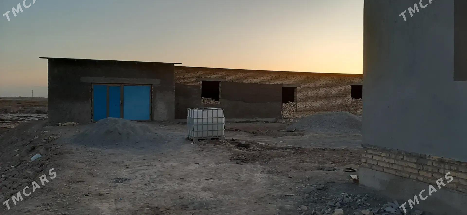 Satlyk jay - Дашогуз - img 3