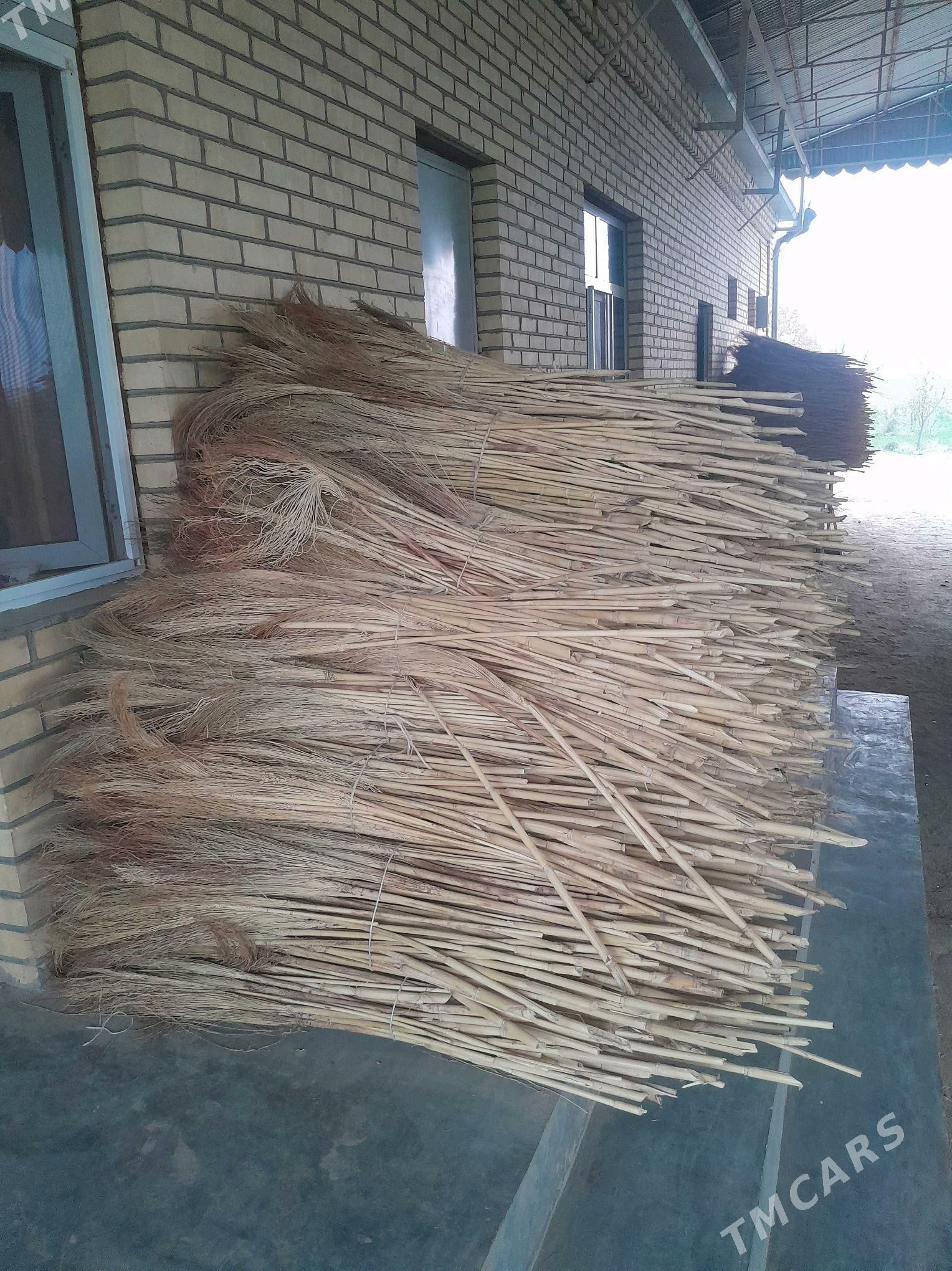 suwse - Sakarçäge - img 3