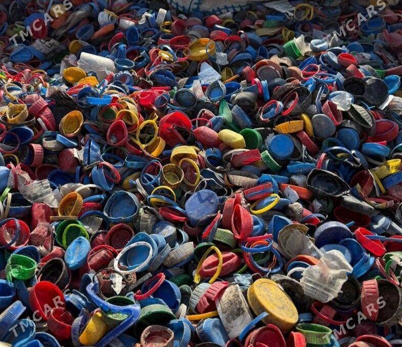 plasmas kagyz alyas - Ak bugdaý etraby - img 2