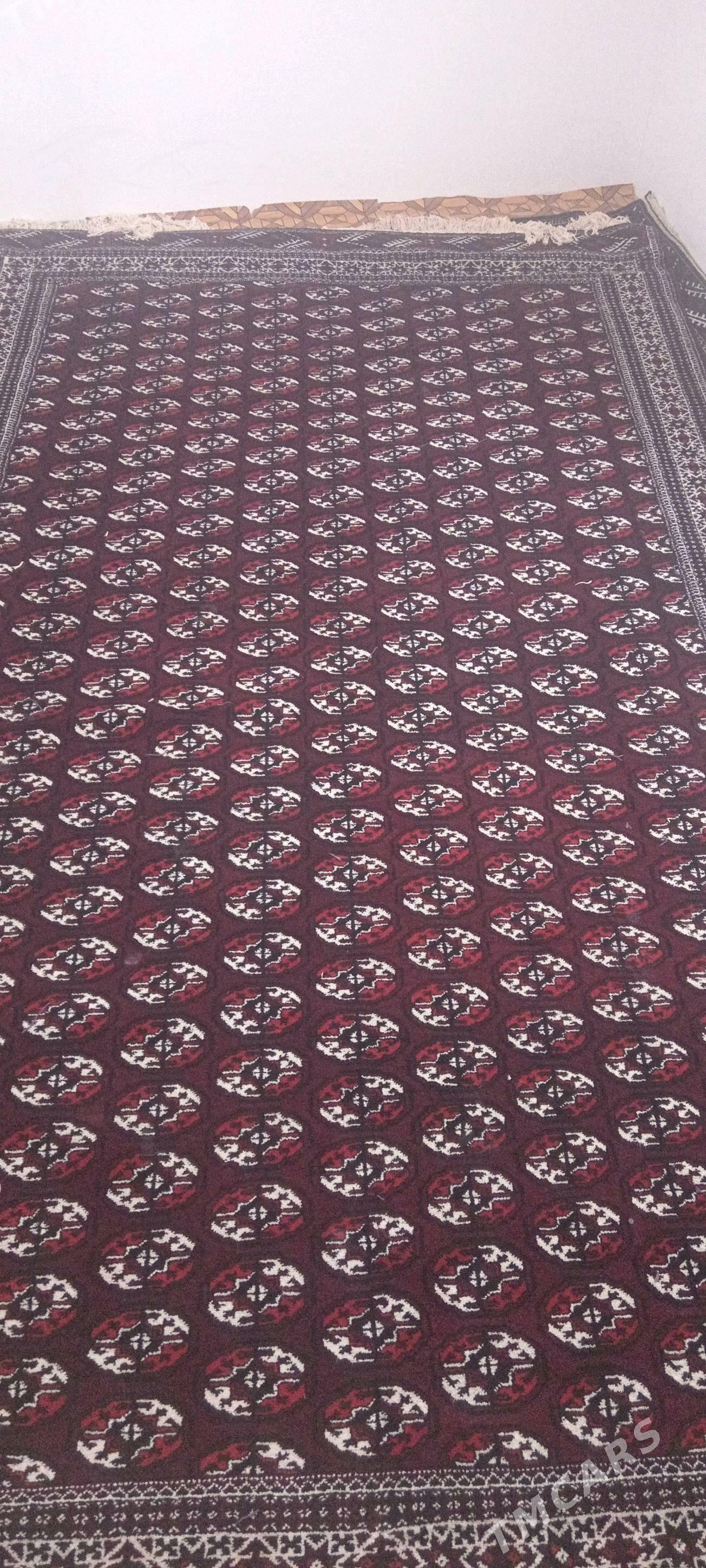 haly - Гумдаг - img 2