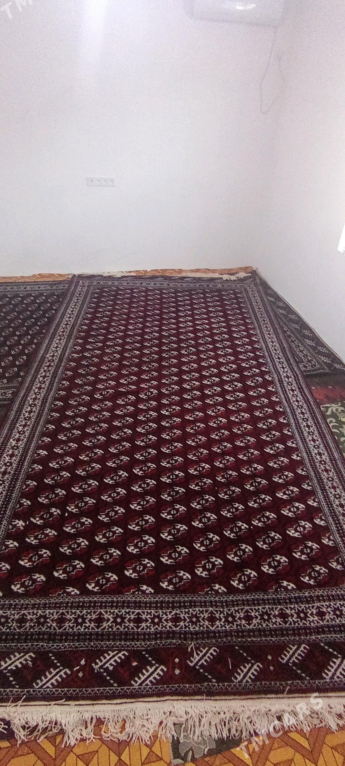 haly - Гумдаг - img 3