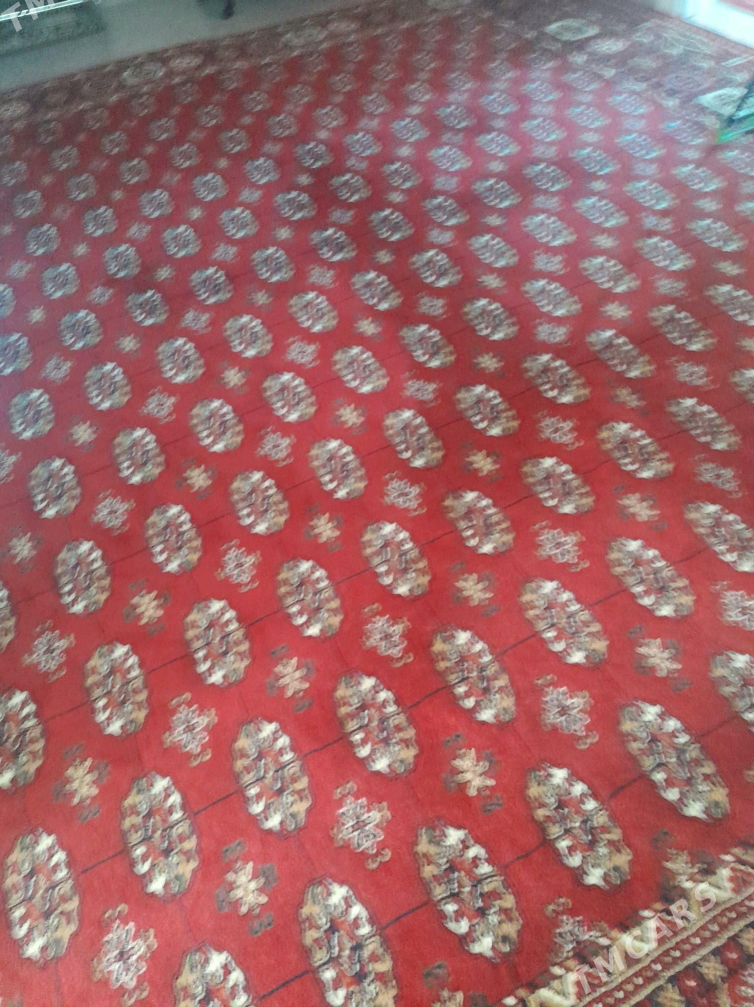 haly - Büzmeýin GRES - img 2