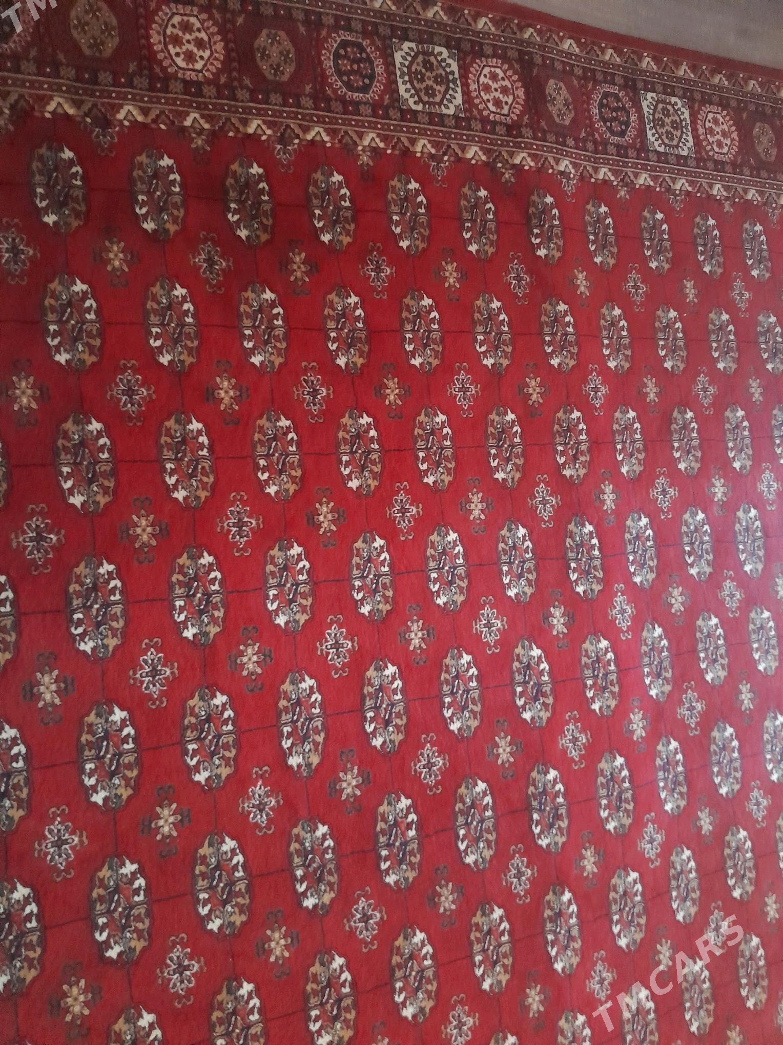 haly - Büzmeýin GRES - img 3