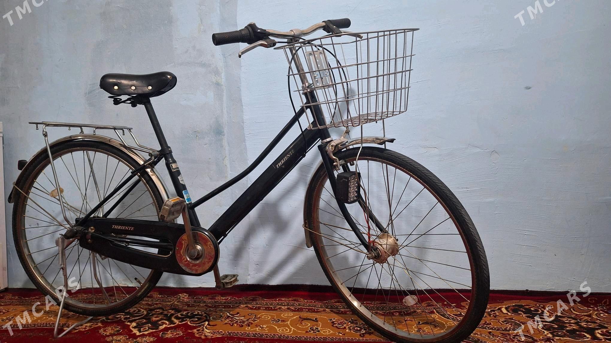 tigir yaposka - Büzmeýin - img 2