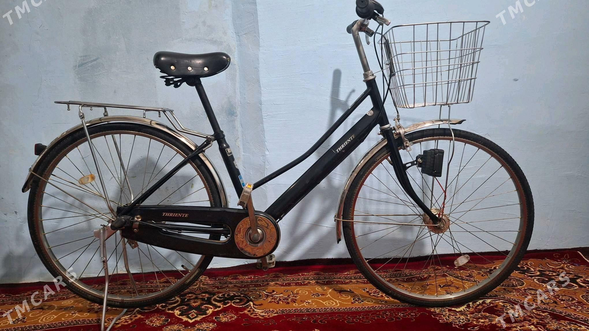 tigir yaposka - Büzmeýin - img 3