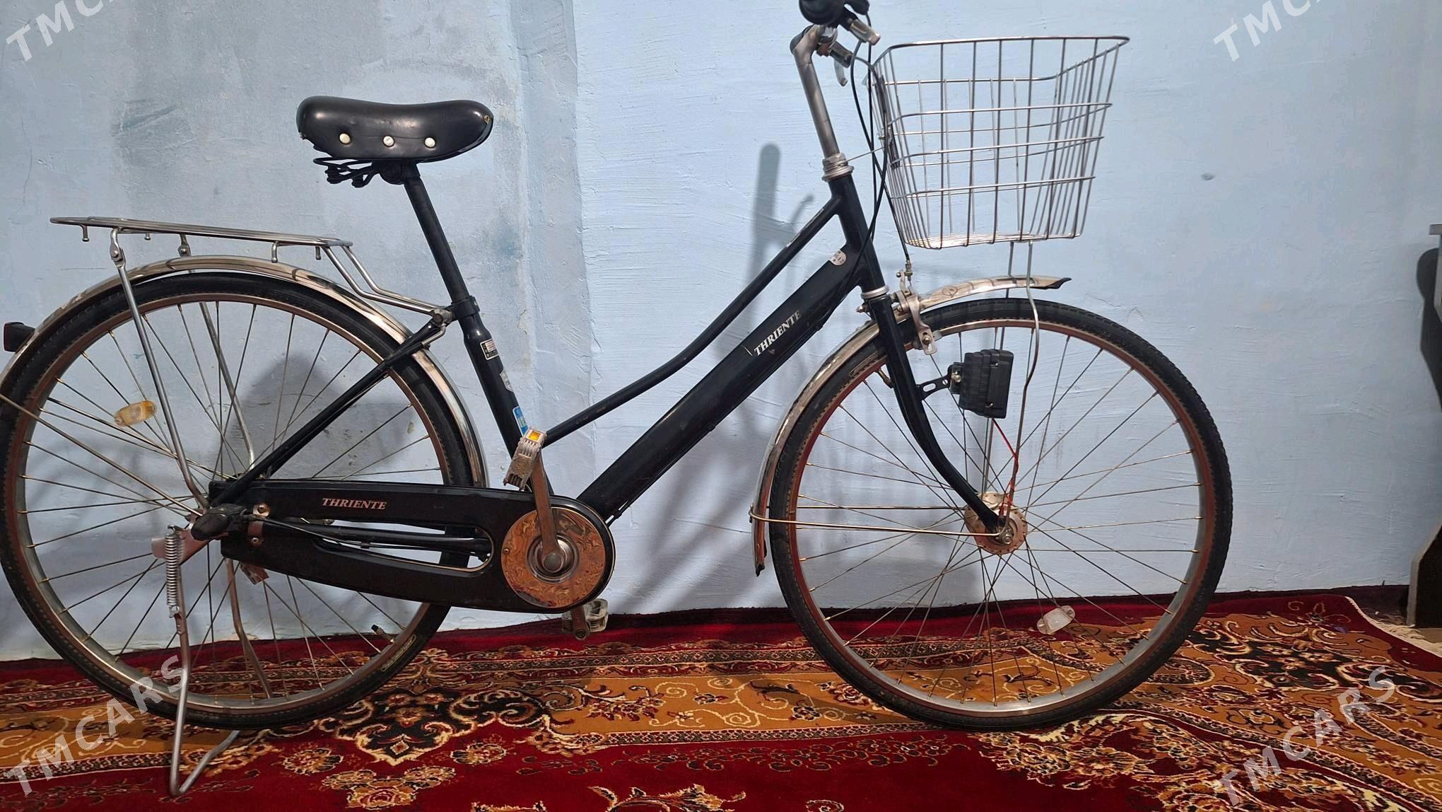 tigir yaposka - Büzmeýin - img 4