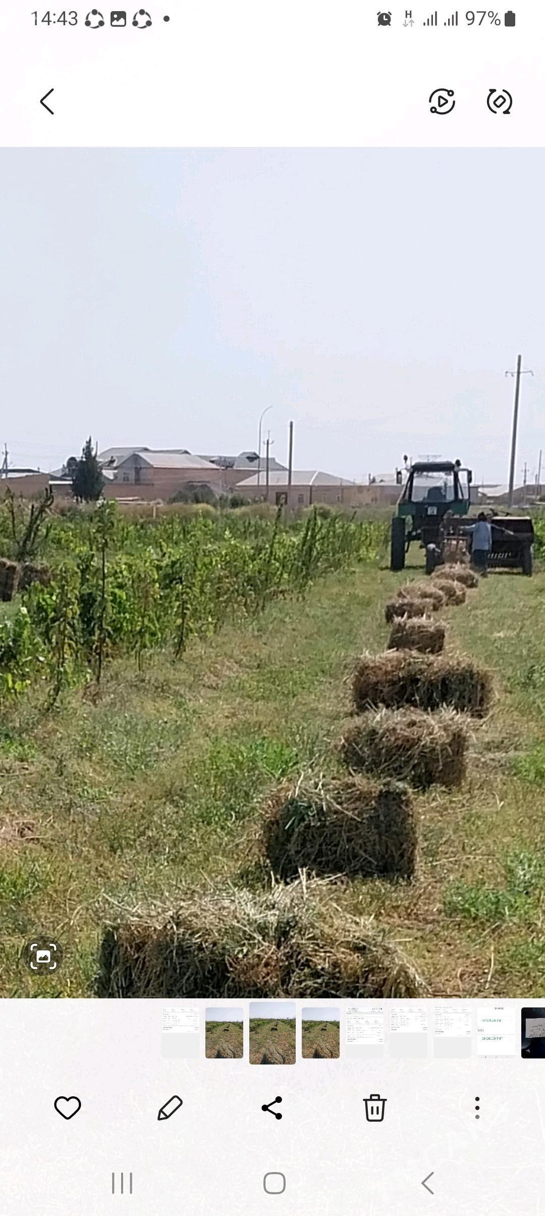 baglyk - Farap - img 2