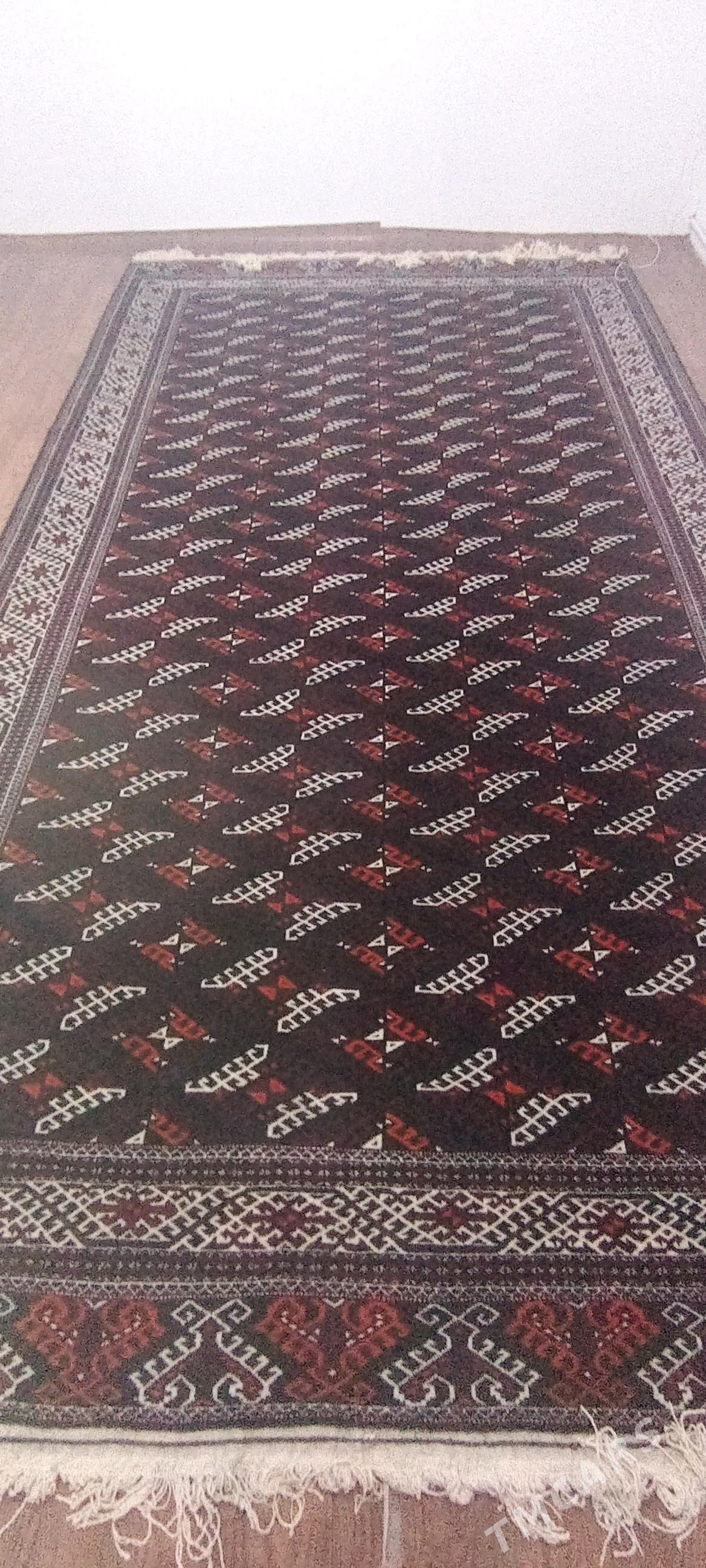 haly - Гумдаг - img 2