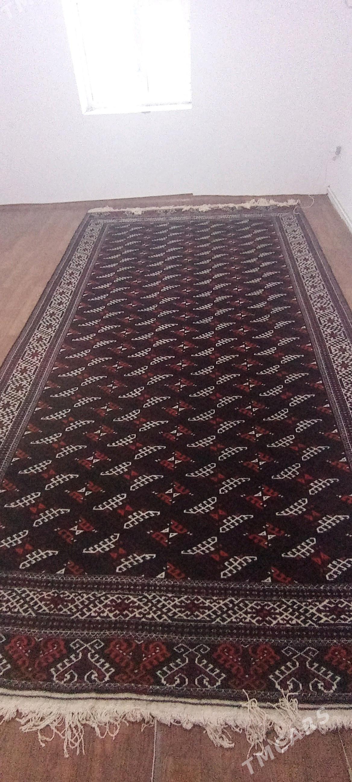 haly - Гумдаг - img 3