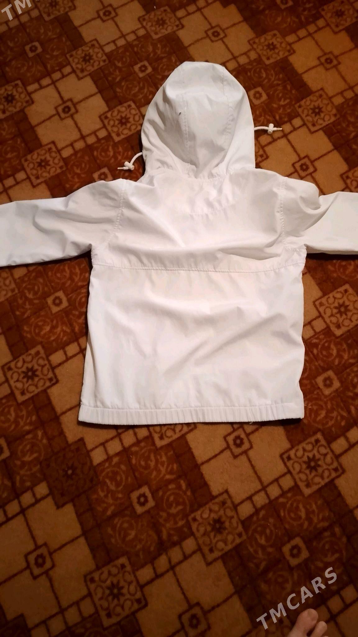 Flasofka kapsony ikisi bar - Şabat etr. - img 5