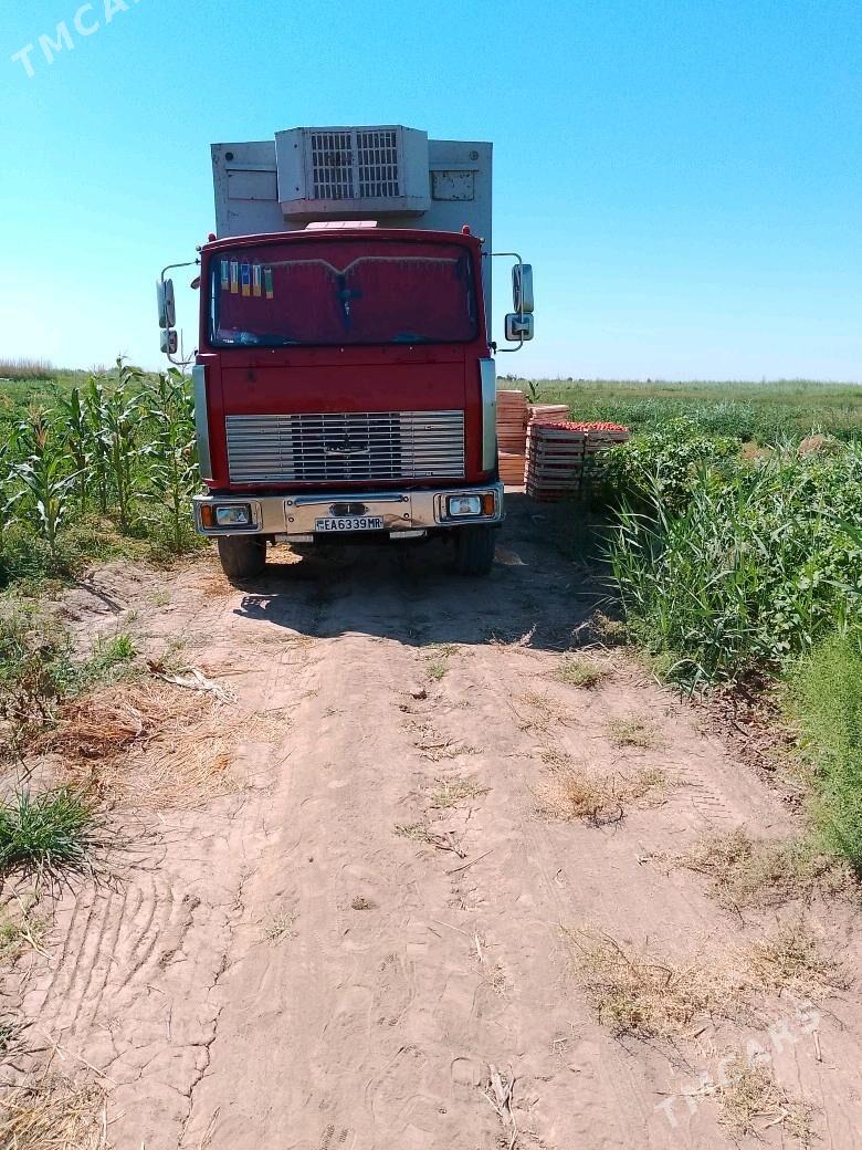 Maz Samosval 2004 - 200 000 TMT - Murgap - img 4