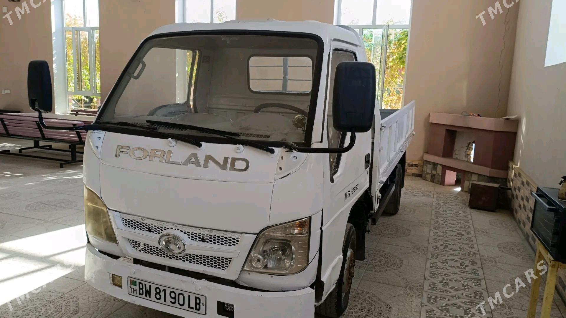 Forland H2 2011 - 65 000 TMT - Дянев - img 1