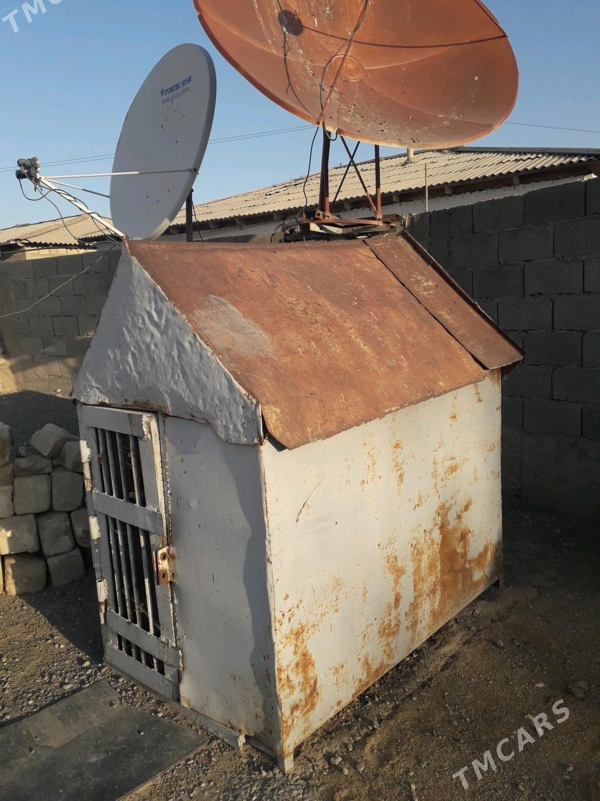 gush ketek - Gyzylarbat - img 3