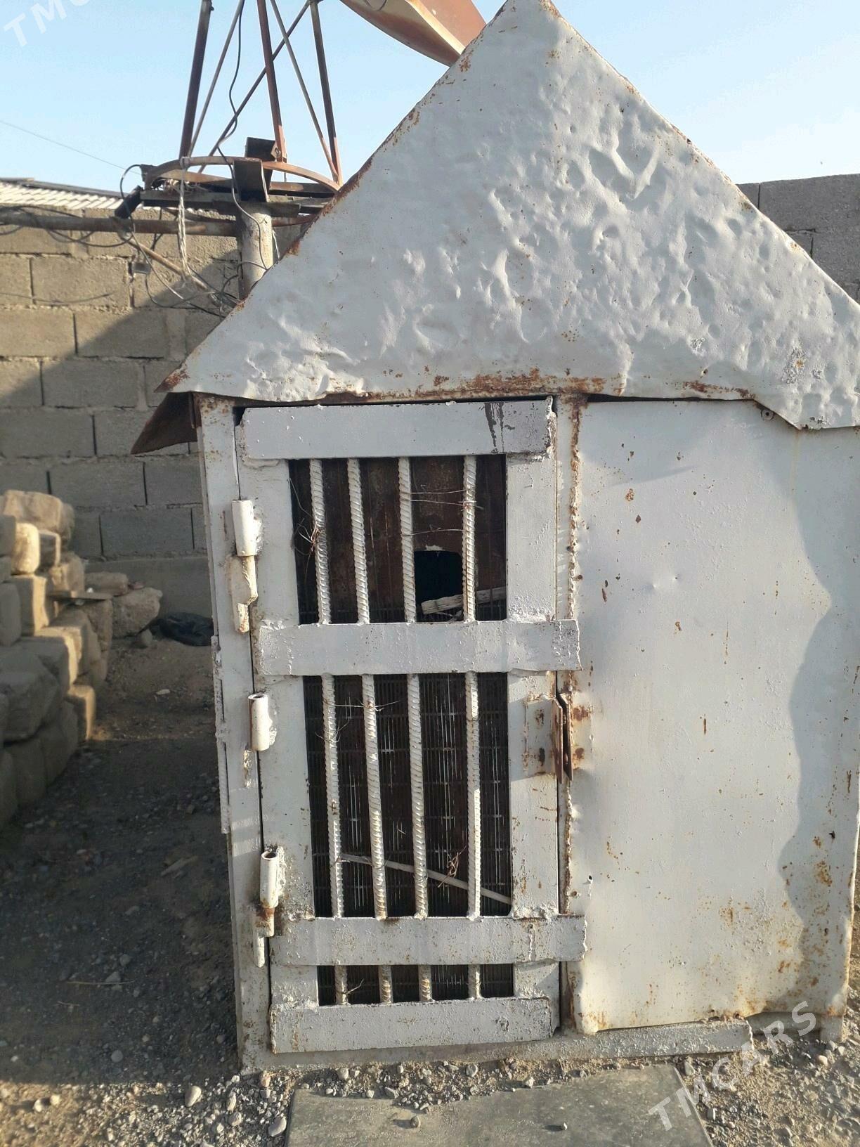 gush ketek - Gyzylarbat - img 2