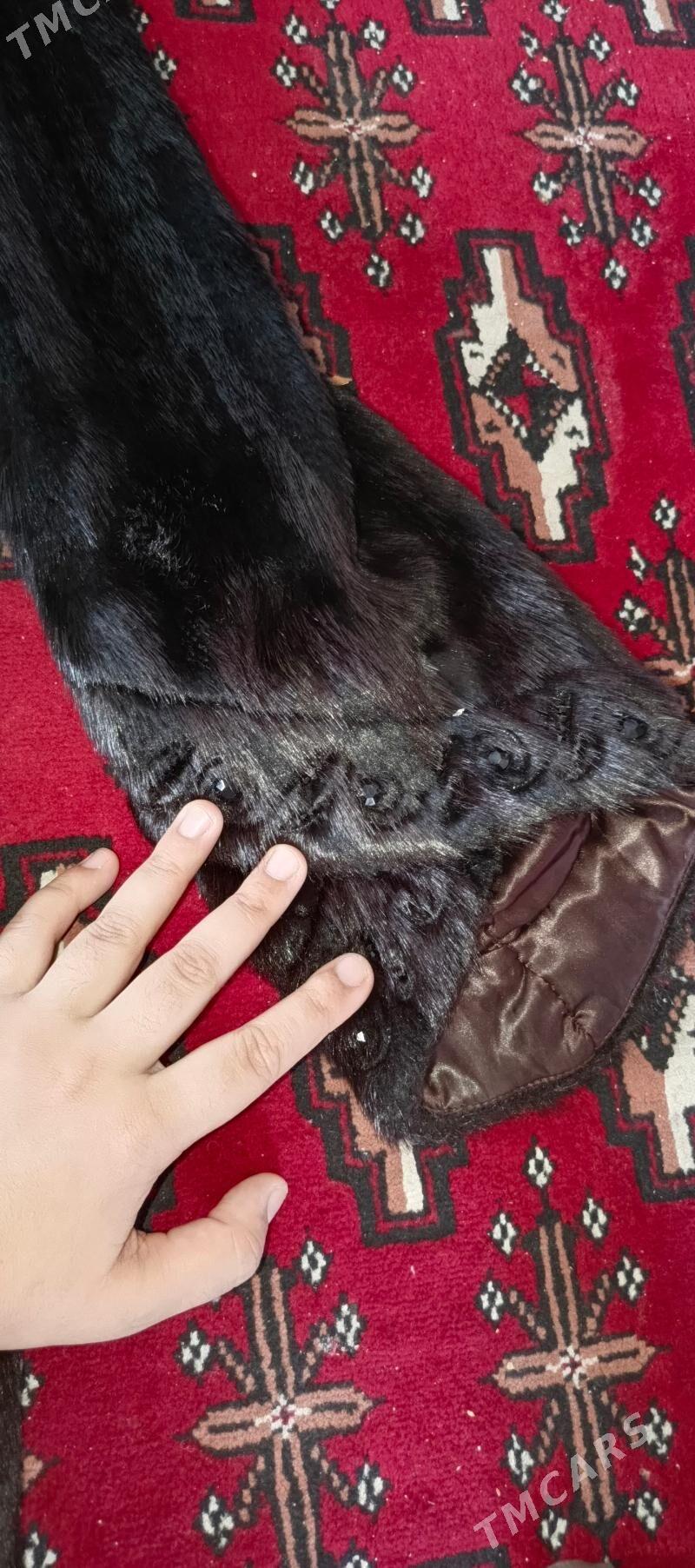 şuba - Aşgabat - img 3