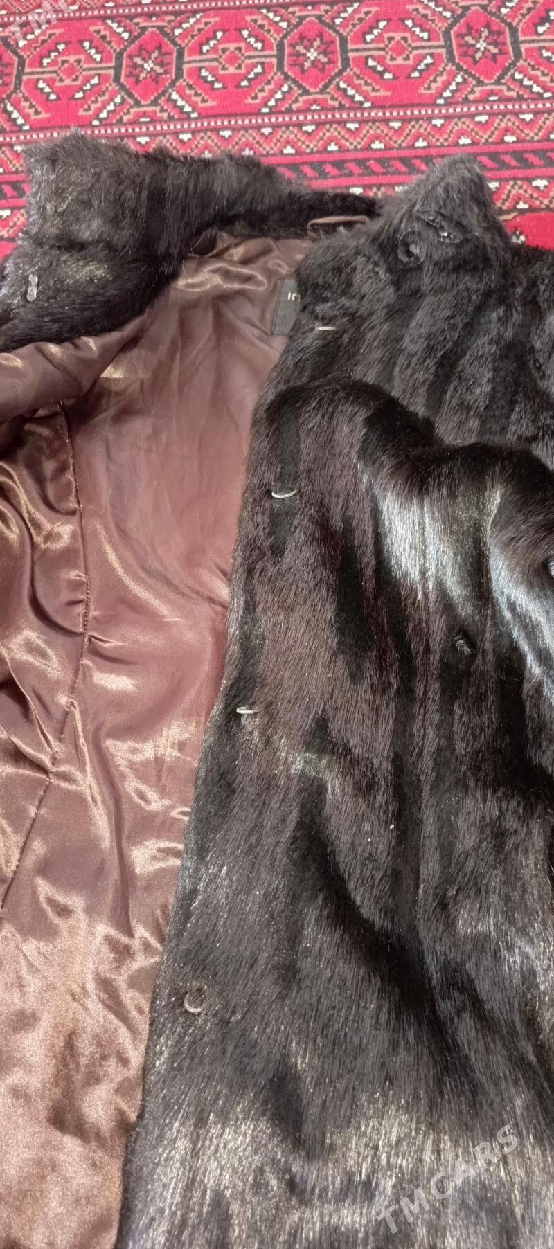 şuba - Aşgabat - img 4