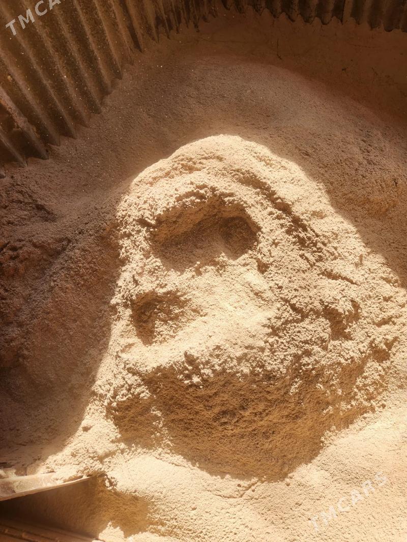 ķarmawoý joweniñ kormasy - Фарап - img 3