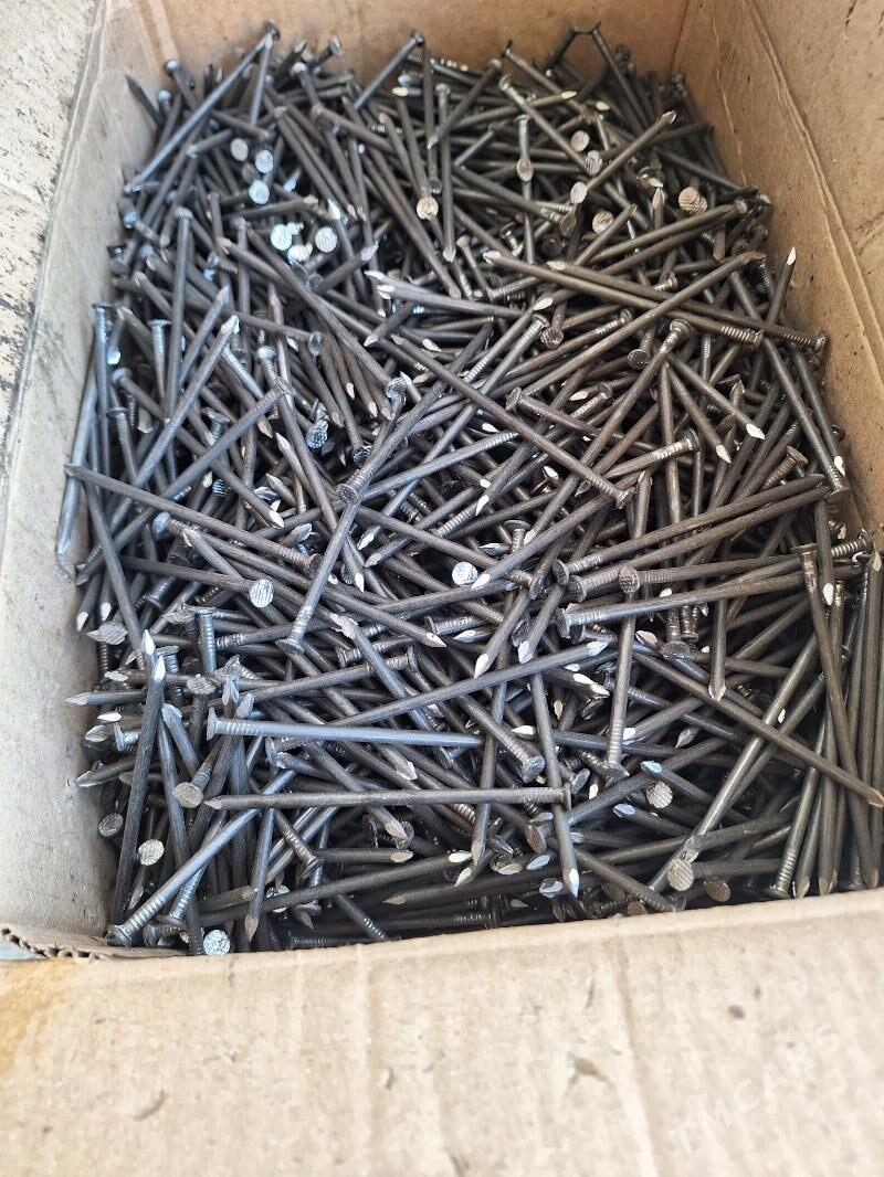 cuy - Aşgabat - img 3