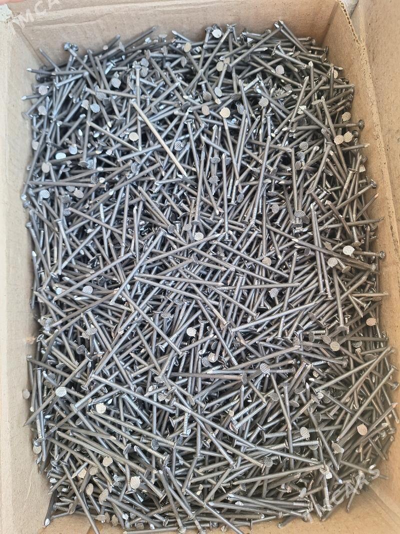 cuy - Aşgabat - img 4