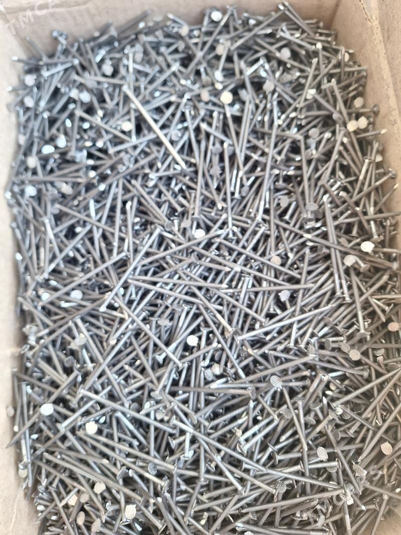 cuy - Aşgabat - img 1