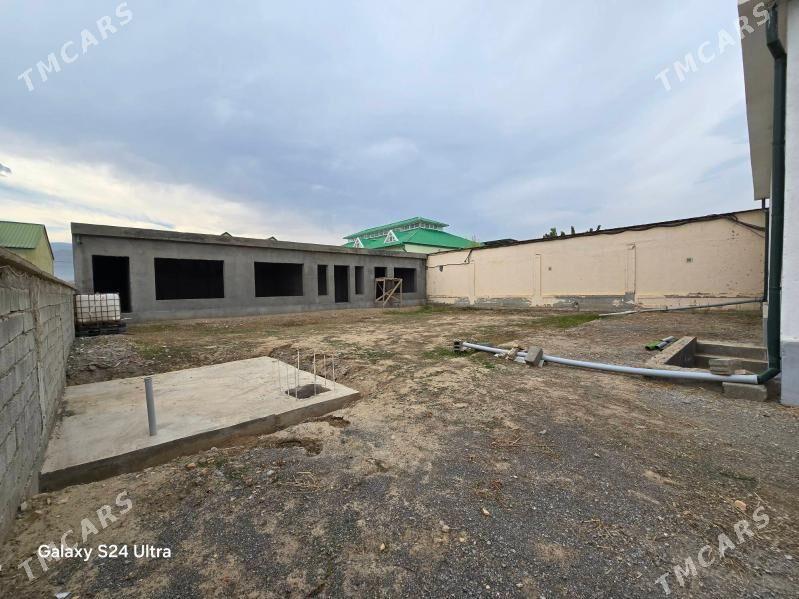 Bagyr Mirewe Багир Миреве - Багир - img 2