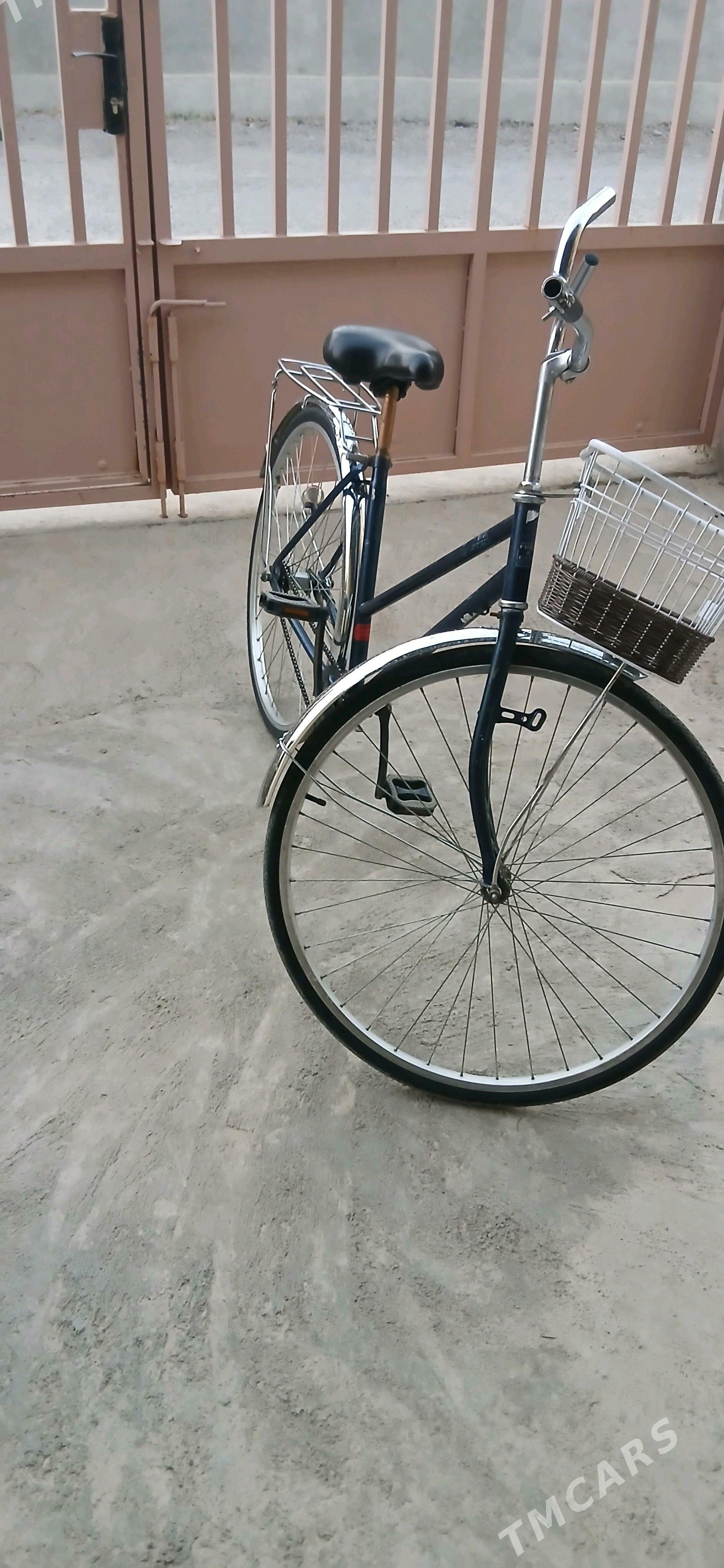 tigir - Багир - img 3