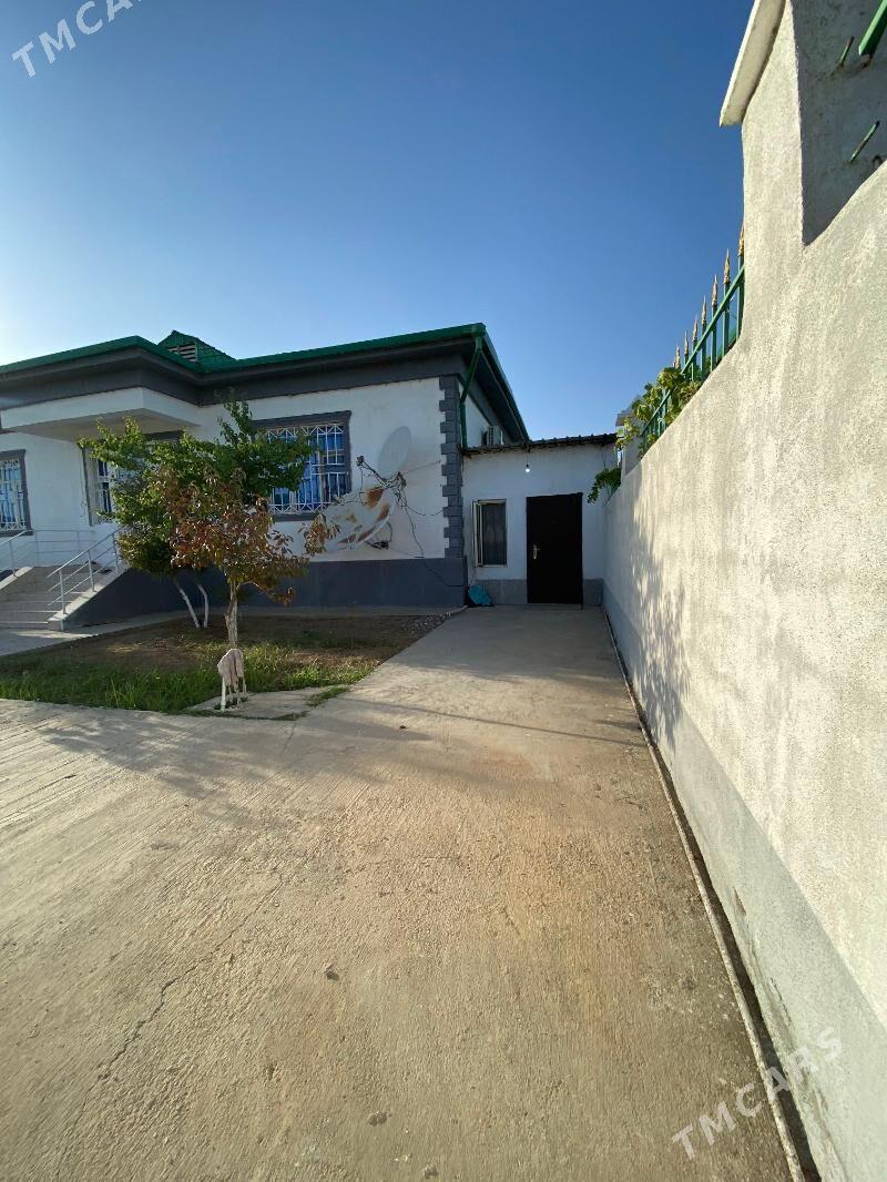 taze zaman satlyk jay - Тязе заман - img 4