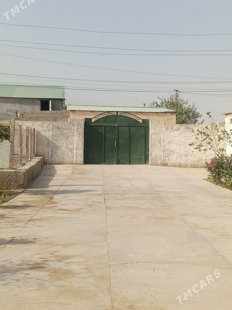 buzmeyin kruk jay - Бузмеин - img 2