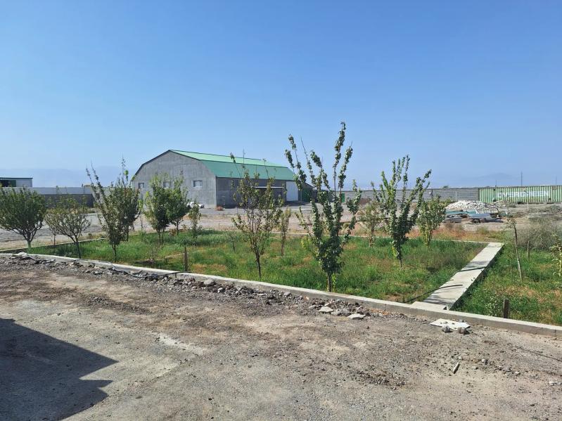 Satlyk Onumçūlūk 1 Ga Taýyn - Анев - img 7